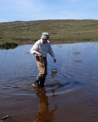 sampling freshwater algae